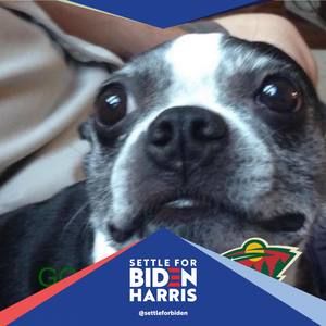 Meet your Posher, Evan